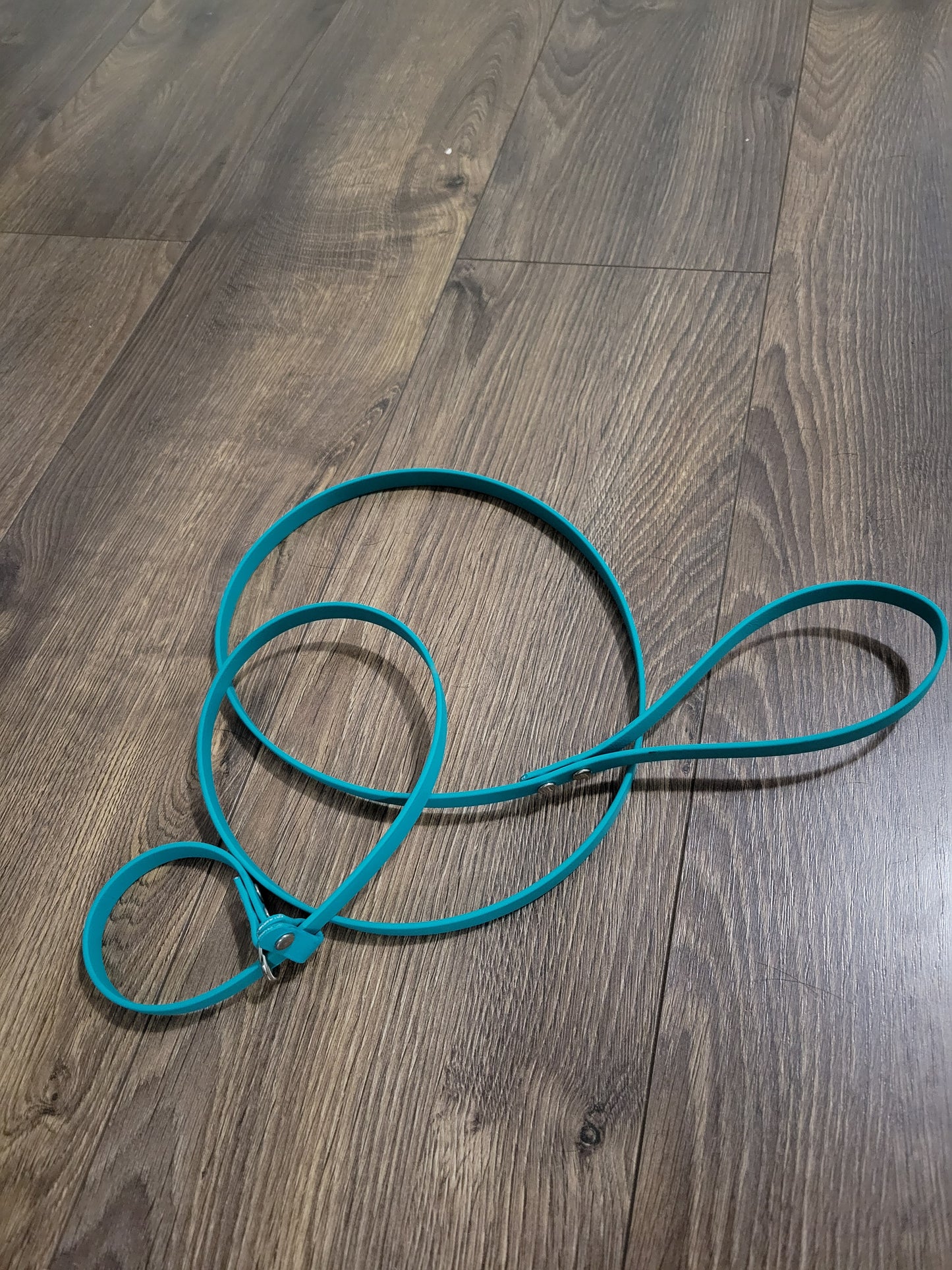 1/2 inch Biothane Slip lead - Available in 4 foot or 5 foot length NP send email request for other color, length, width or hardware (black, stainless steel or brass)