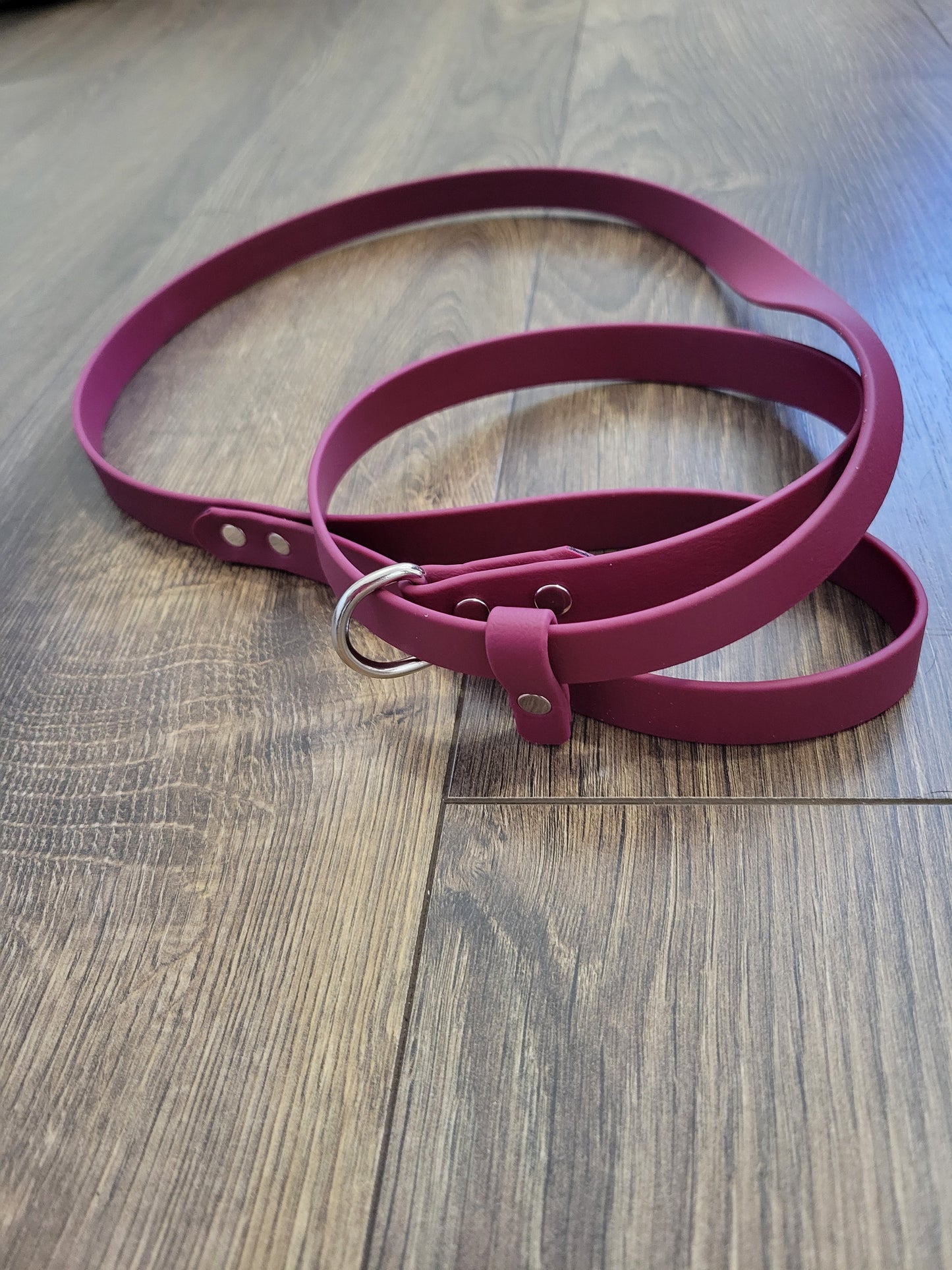 1" BioThane Slip Lead (NP)- Available in 4 foot or 5 foot length, send email request for other color, length, width or hardware (black, stainless steel or brass)