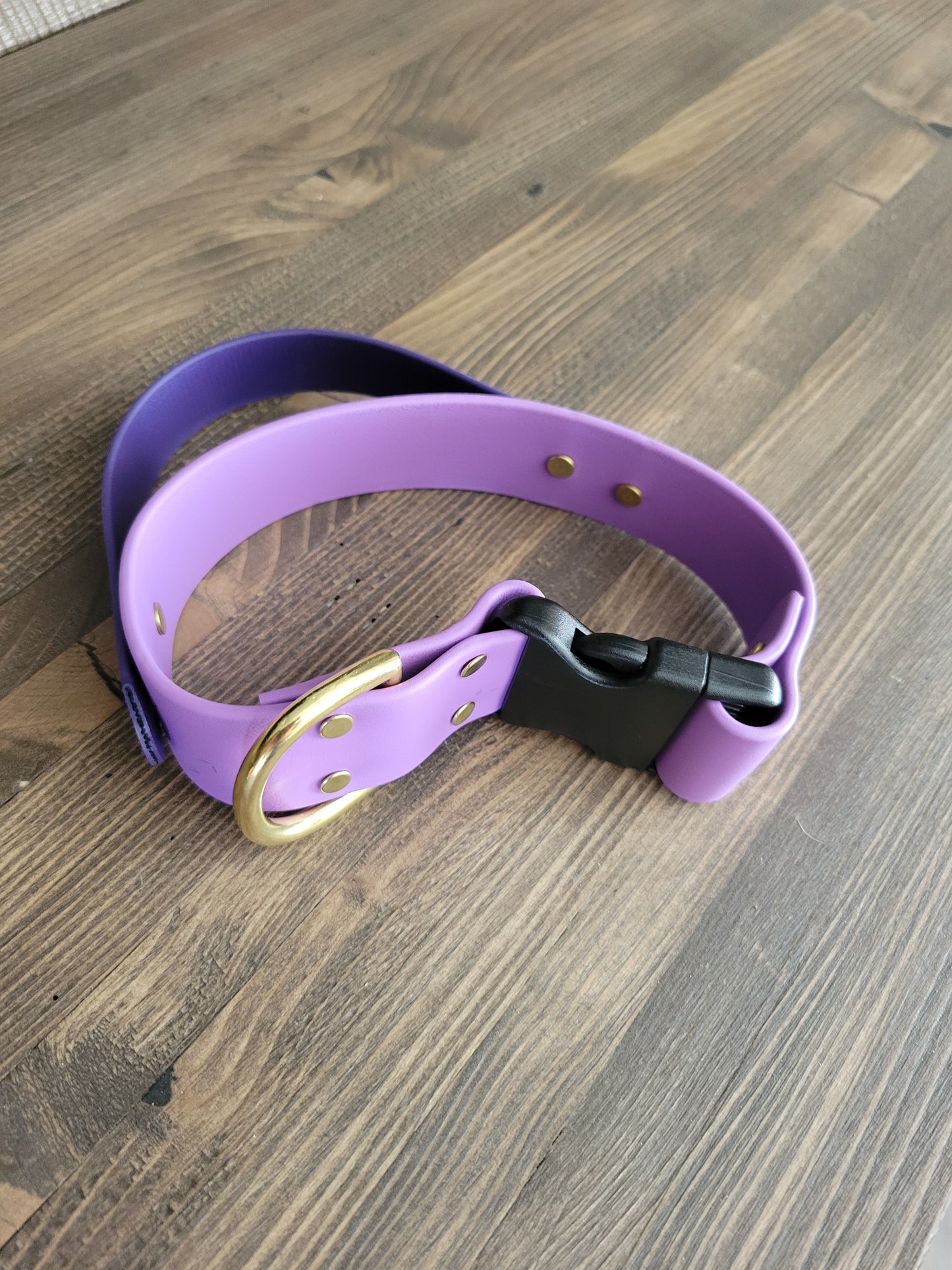 Sports collar with handle