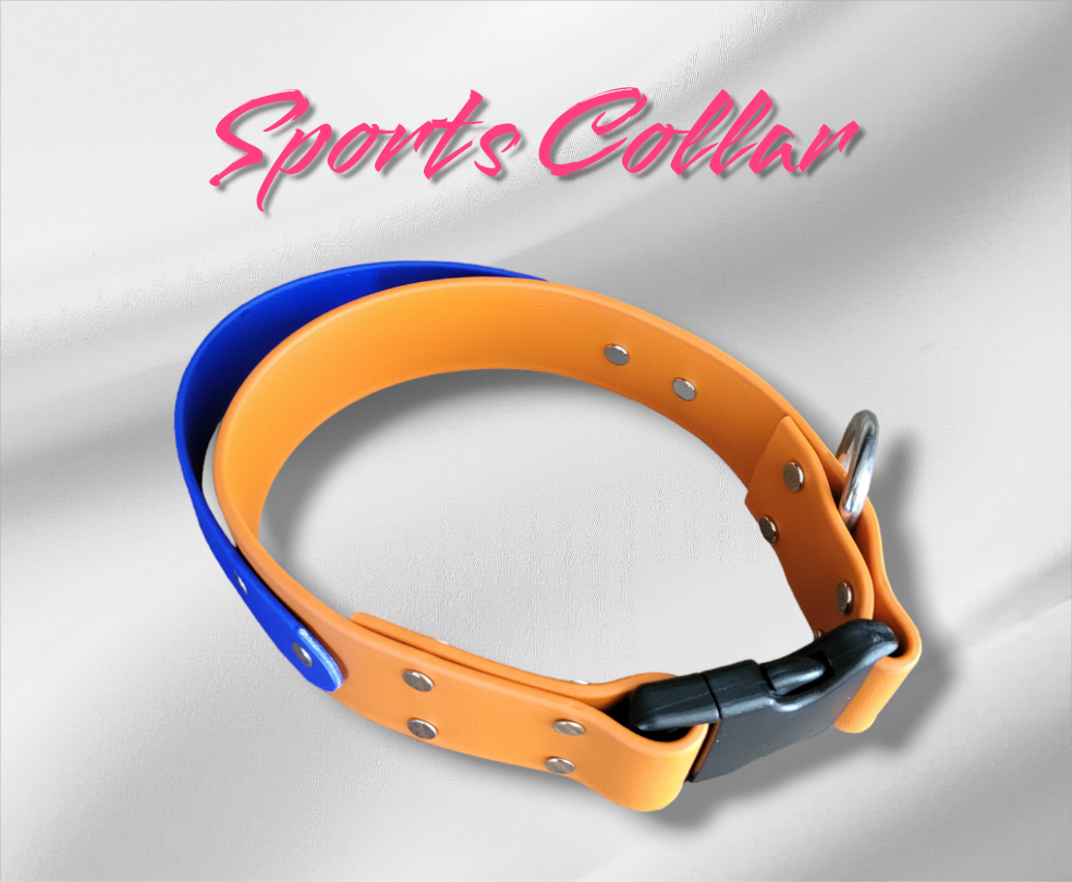 Sports collar with handle