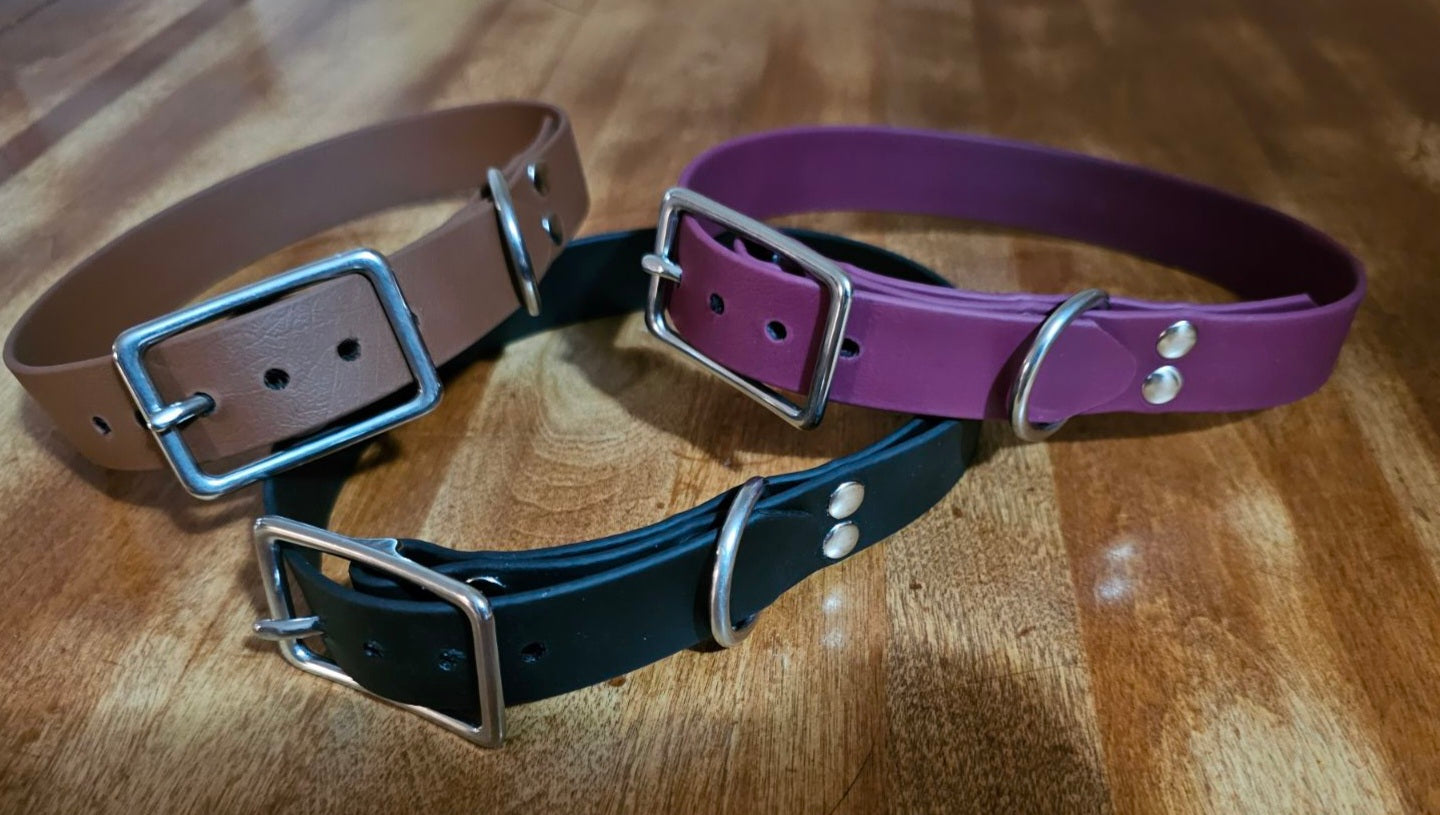 1" Standard Biothane Buckle collars send email request for other color choice that is not listed